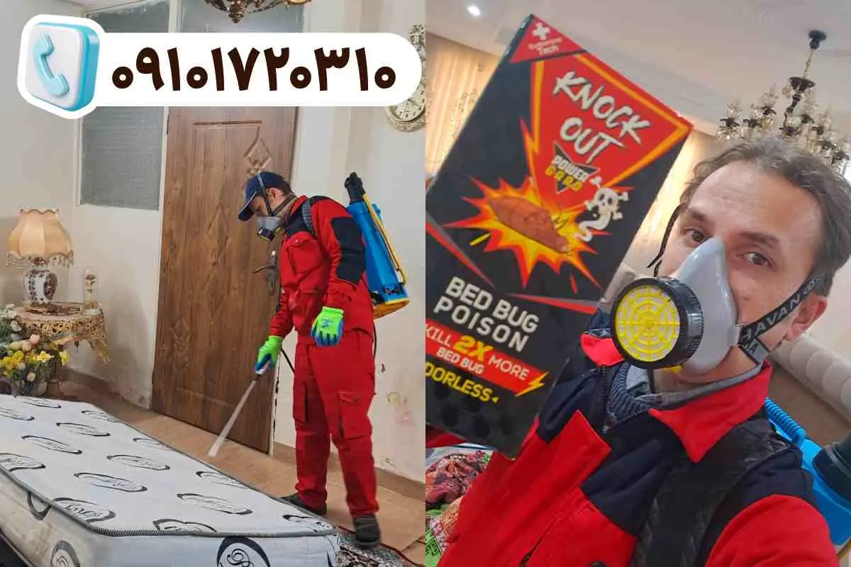 شماره شرکت سمپاشی ساس شرکت سمپاشی ساس ناک اوت