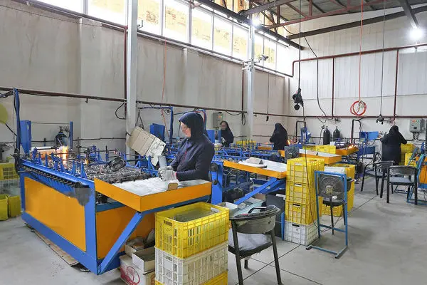 تاثیر عفو رهبری بر اقتصاد و اشتغال مددجویان