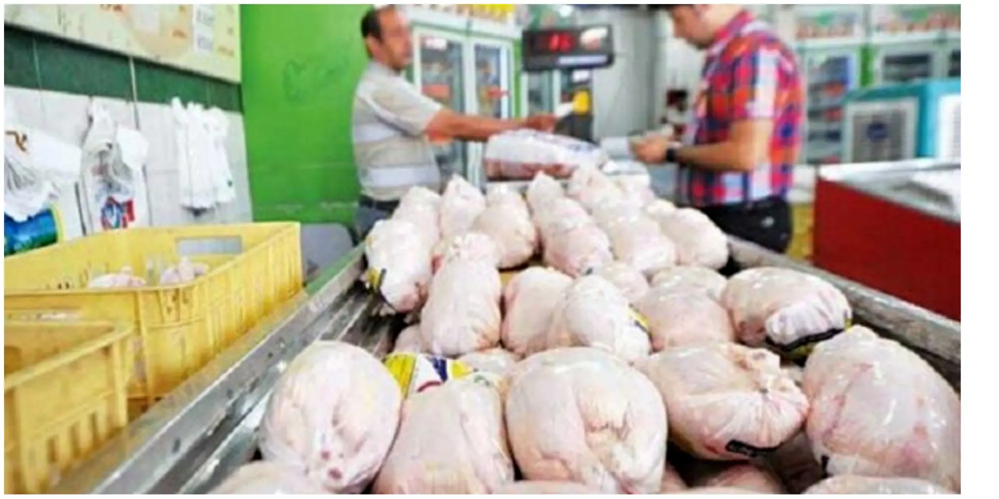 ایران همچنان وارد کننده مرغ باقی می ماند