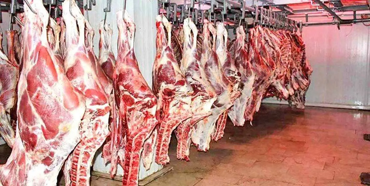 توزیع گوشت گرم تنظیم بازار در فروشگاه‌های زنجیره ای 
