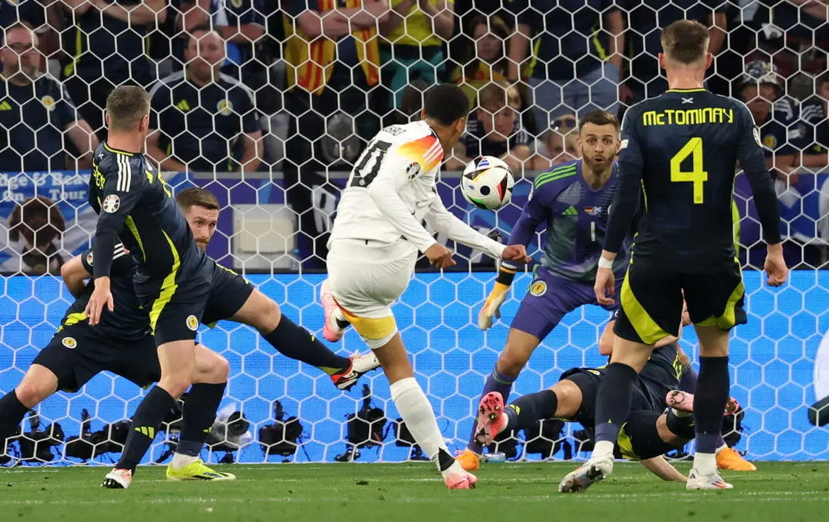 جنون در قاره سبز ؛ بُکش تا زنده بمانی