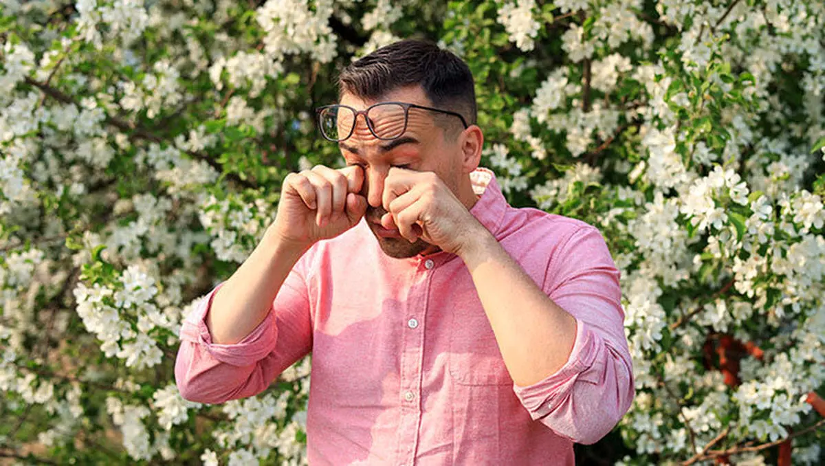 چرا گردههای بادبر آلرژی را تشدید میکنند؟