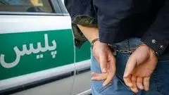 یک تهیه‌کننده سینما بازداشت شد