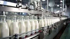 شیر سقف گرانی را درید