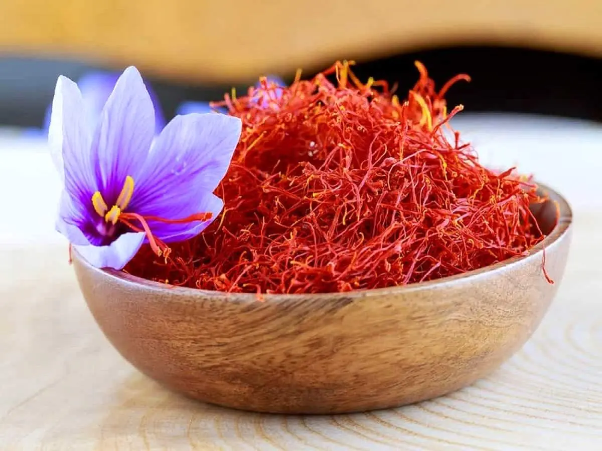 زعفران تقلبی را بشناسید
