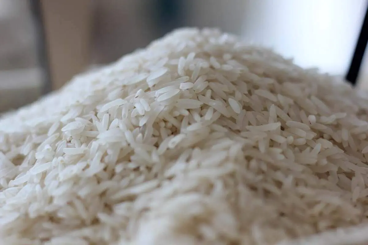 قیمت برنج ایرانی امروز ۱۰ فروردین ۱۴۰۴