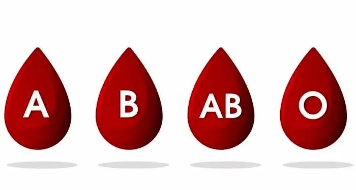 بهترین گروه های خونی کدامند؟