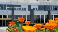ماجرای عصبانیت خانم وزیر؛ درب این فرودگاه را گِل می‌گیریم
