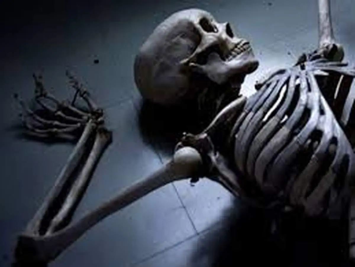 کشف اسکلت در چمدان 2 مسافر در مرز