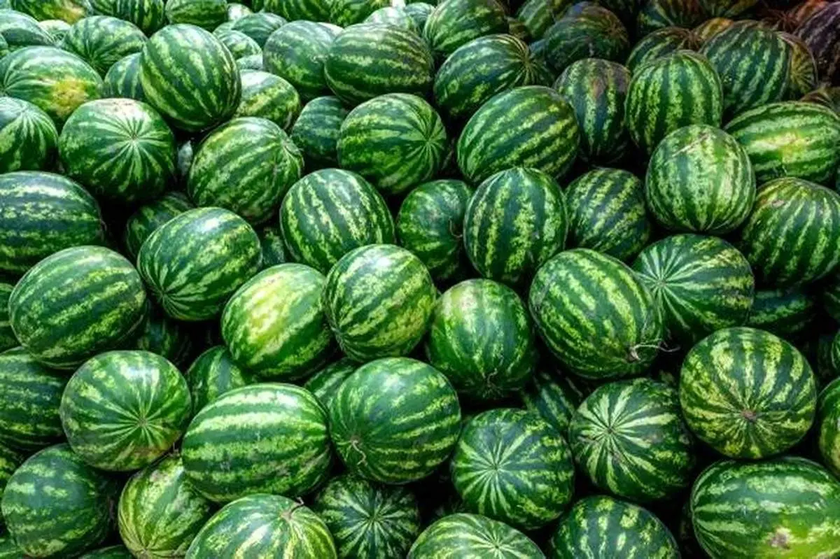 قیمت هندوانه و انار شب یلدا مشخص شد