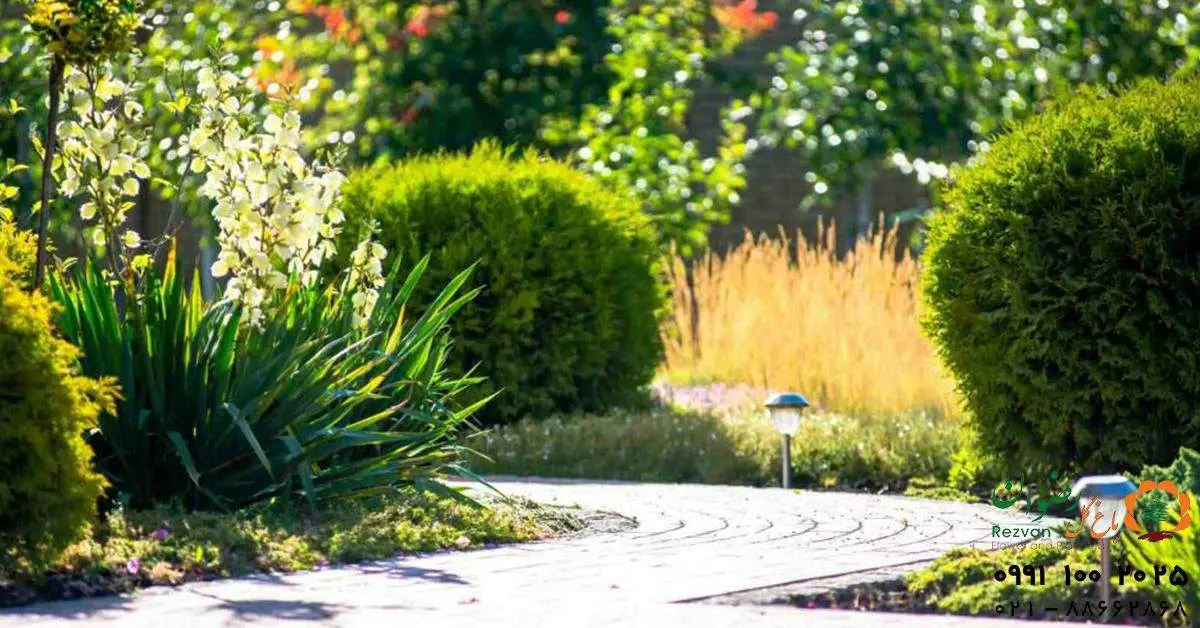 اصول مهم در طراحی فضای سبز