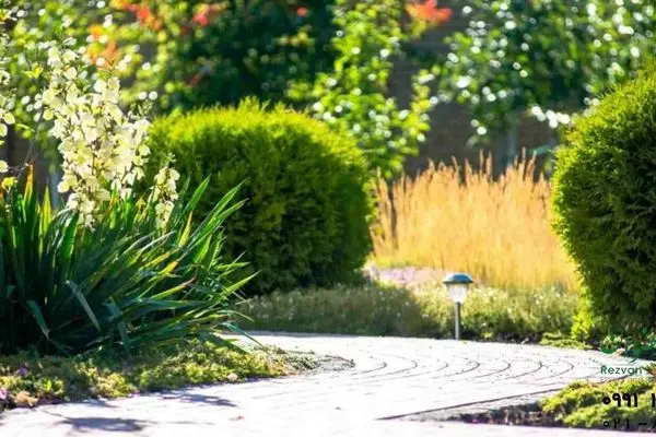 اصول مهم در طراحی فضای سبز