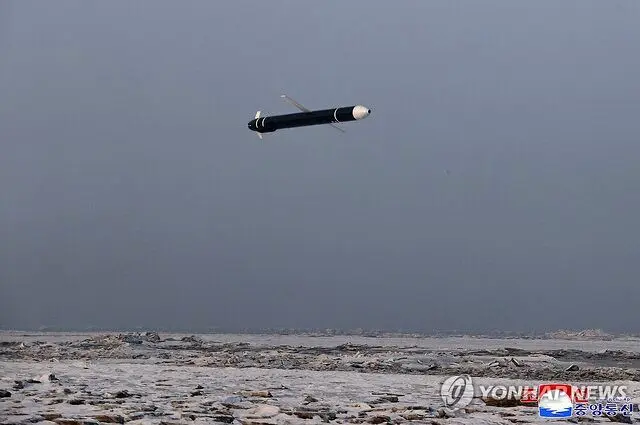 کره‌شمالی چندین موشک کروز شلیک کرد