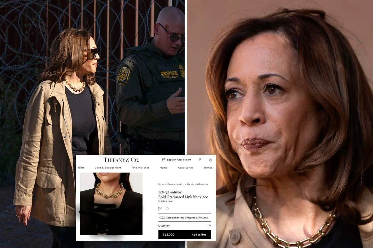 لاکچری بازی هریس دردسرساز شد! /  عکس