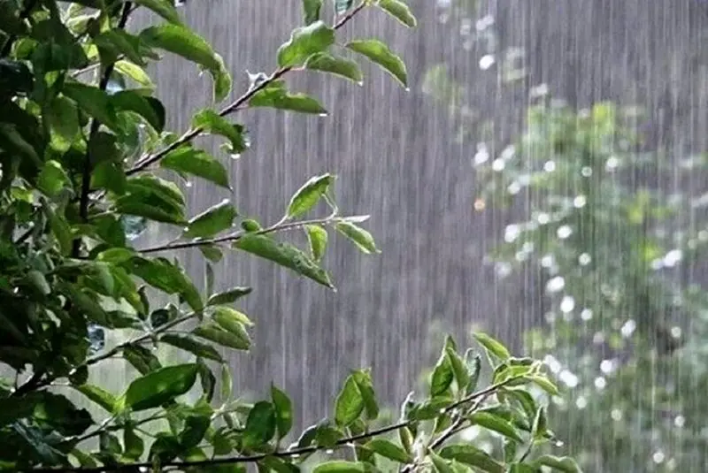 بارش باران و کاهش دما در ۷ استان 