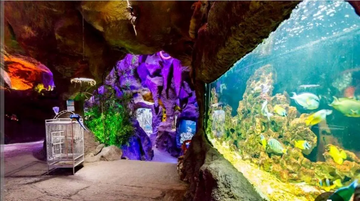 غار آکواریوم در ملایر افتتاح شد!