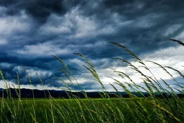 هواشناسی استان تهران برای فردا دوشنبه (۹ تیر) اطلاعیه داد