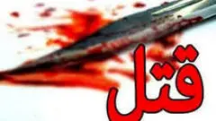 فرار دخترخوانده نوجوان به‌خاطر مشروبات الکلی و روابط آزاد