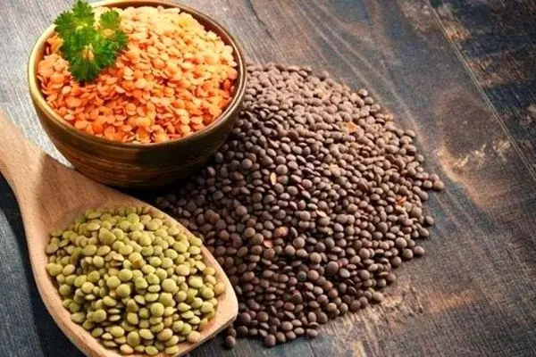 خواص عدس که باید بدانید