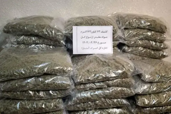 کشف مواد مخدر با پوششی عجیب در گمرک آستارا