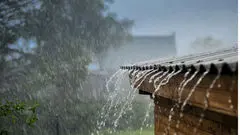 سرما و باران تا پنج شنبه در این مناطق/ دما منفی 4 درجه