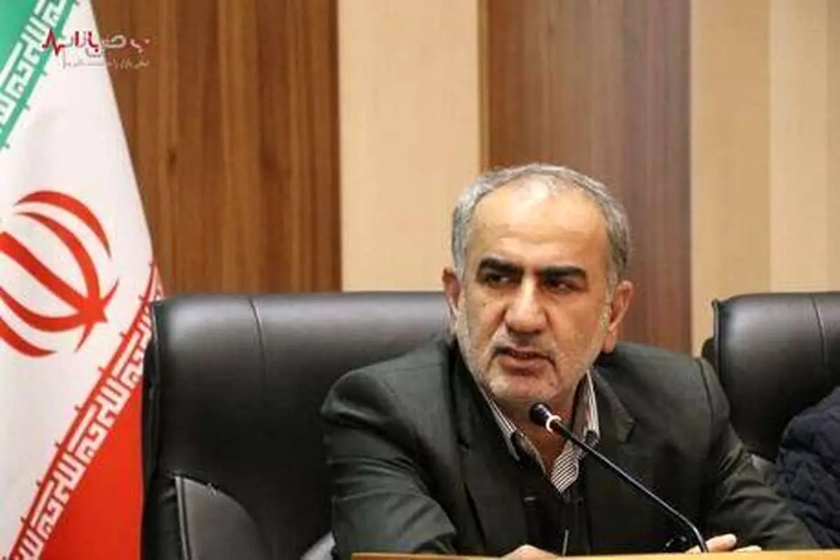 تقدیر عضو کمیسیون برنامه و بودجه مجلس از عملکرد بانکملی در تامین ارز اربعین