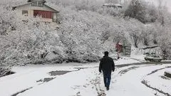 
سرمای شدید در راه البرز/ یخبندان تا پایان هفته ادامه دارد

