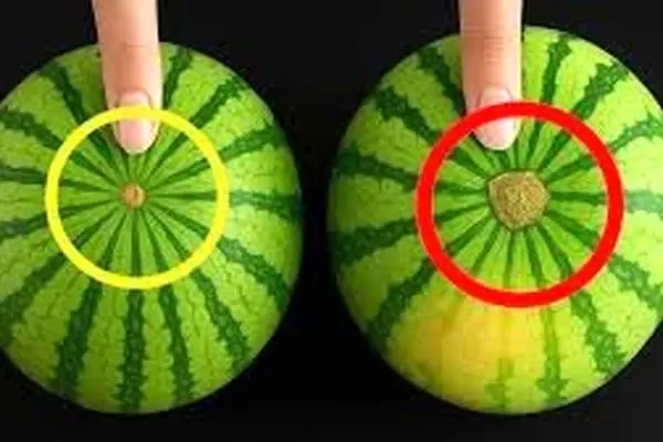 ترفندهای شناسایی هندوانه قرمز برای شب یلدا