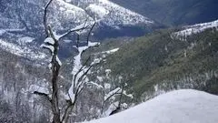 پیش بینی هواشناسی کرمانشاه تا آخر هفته/ سه‌شنبه اوج بارشها