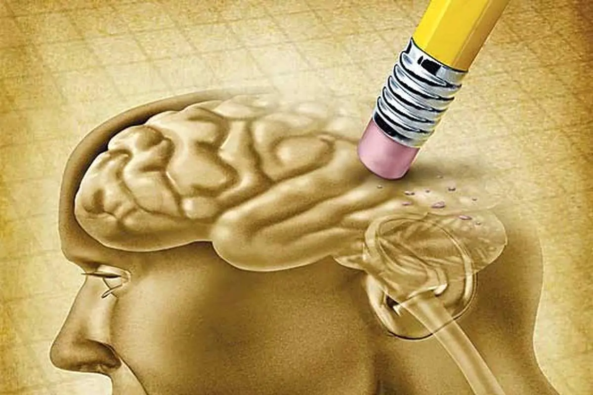 این ماده غذایی از زوال عقل پیشگیری میشود