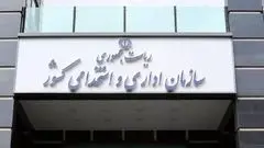 معاون رییس‌جمهور: ۵۵ نهاد شورایی منحل شد/ ۱۱۳ شورای دیگر در انتظار بررسی