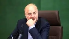 تصویب دو فوریت یک لایحه دولت در مجلس