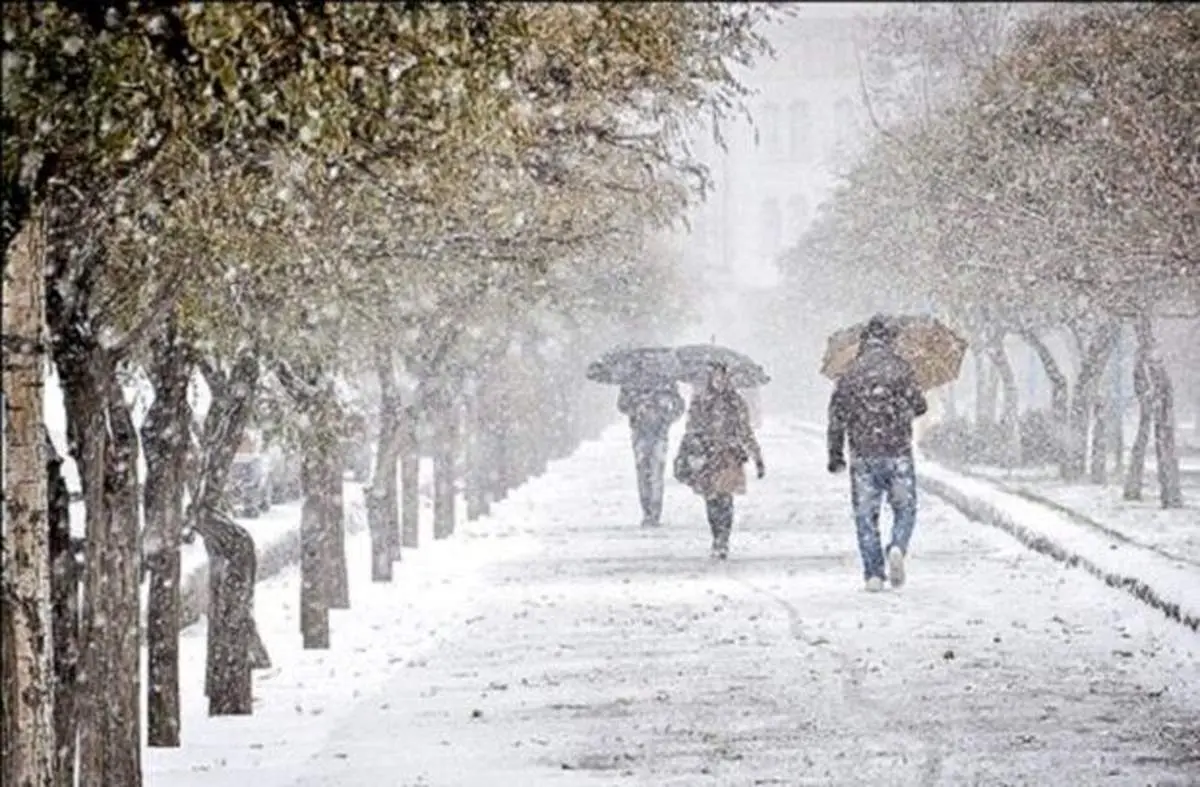فردا در ۱۵ استان کشور برف می بارد!