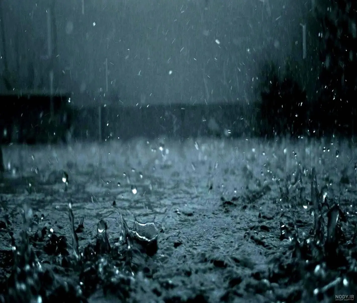 صحنه بسیار زیبا از بارش سنگین باران در عمان