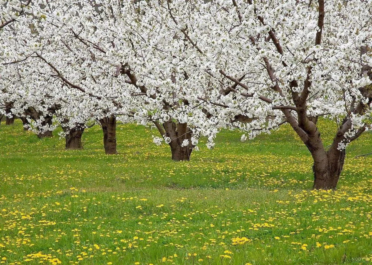 بایدها و نبایدهای تغذیه در فصل بهار