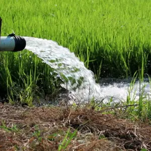 ۸۵ درصد آب در کشاورزی مصرف و ۵۰ درصدش از بین می‌رود 