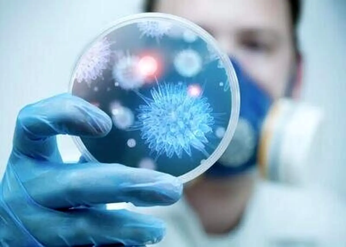 متاپنوموویروس چه کسانی را تهدید میکند؟