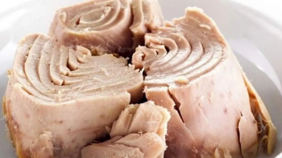 کنسرو ماهی با ۲۰ درصد تخفیف در ایام نوروز توزیع میشود