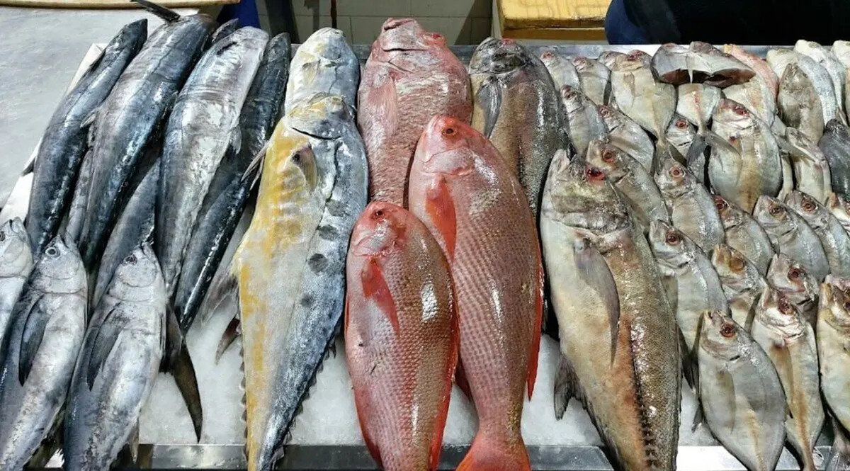 قیمت ماهی امروز/ جدول