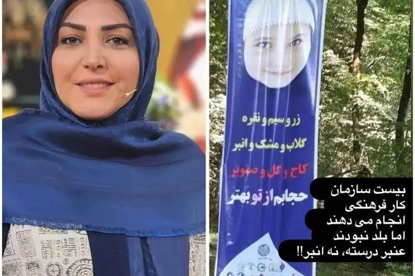  کنایه سنگین المیرا شریفی مقدم به بنر جدید شهرداری درباره حجاب/ عکس