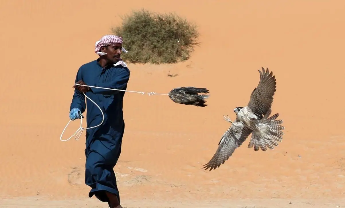 هشدار قاچاق پرنده از ایران به کشور‌های حاشیه خلیج فارس 