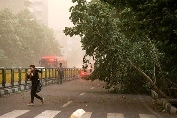 سهم تهران از حوادث جوی: ۶۳ مصدوم از کل کشور