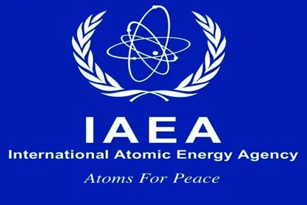 از توقف همکاری با آژانس تا احتمال خروج از NPT