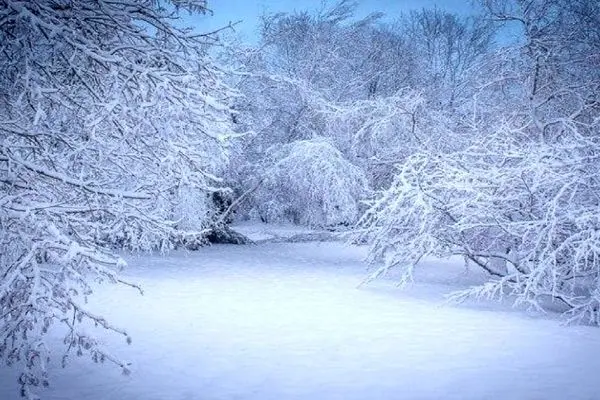 پیش بینی هواشناسی گیلان/ بارش ۶۰ سانتی‌متری برف در این شهر شمالی
