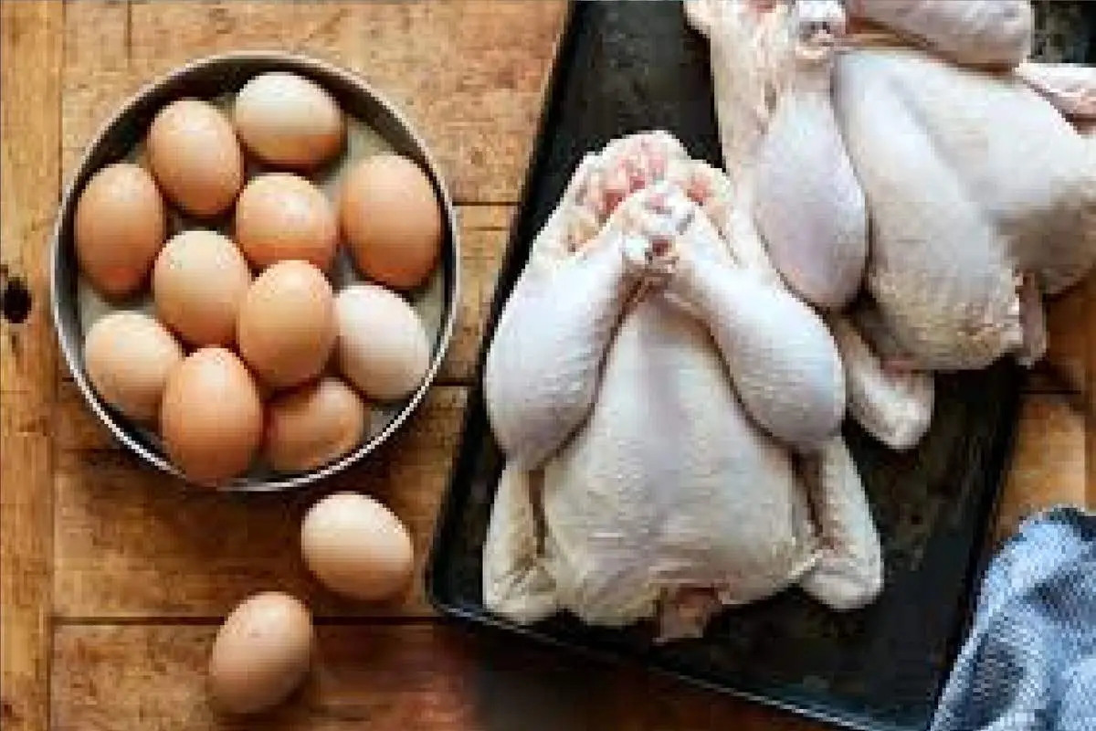 قیمت جدید مرغ و تخم مرغ مشخص شد