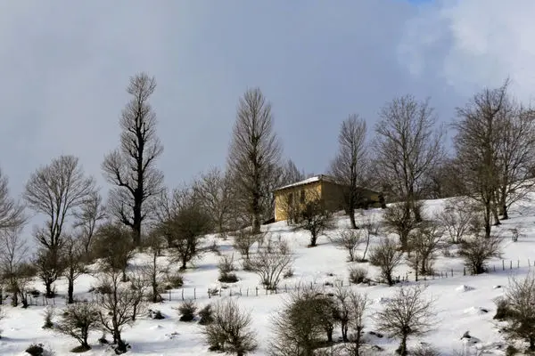 اعلام زمان بارش برف در تهران