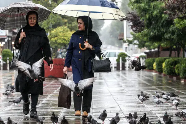 سازمان هواشناسی دو هشدار جدید برای تعطیلات صادر کرد/ آماده باش یکشنبه و دوشنبه (۲ و ۳ شهریورماه)