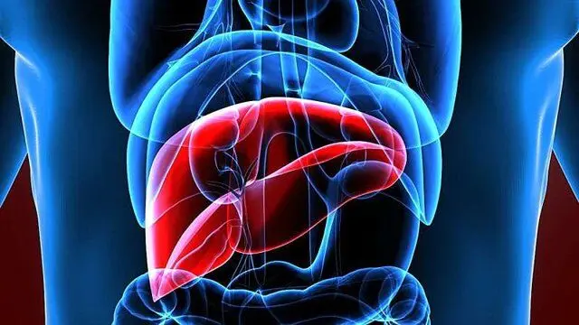  برای سلامت کبد چه کار کنیم
