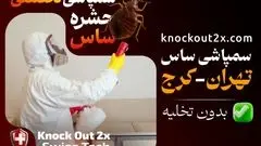 بهترین شرکت سمپاشی ساس منزل تهران-کرج (بدون تخلیه)