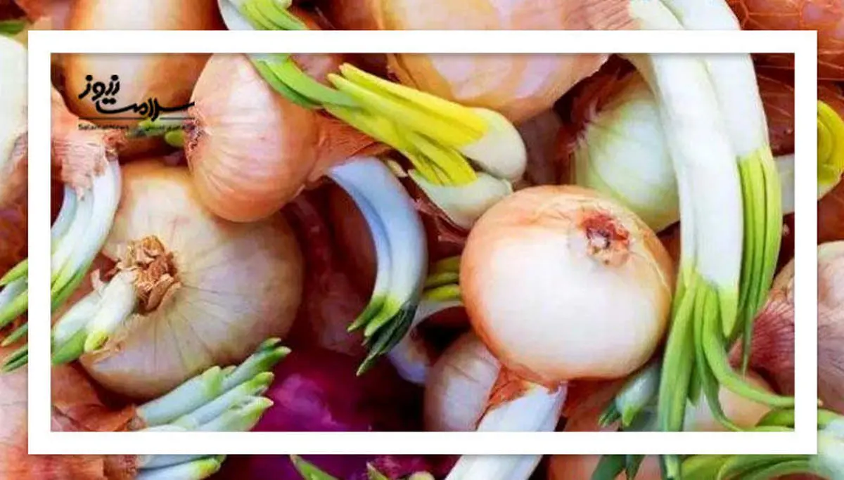 با پیاز جوانه زده چه کنیم؟